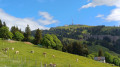 Le Rigi