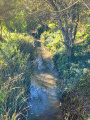 De Darnétal aux sources du Robec