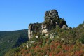 A la rencontre des vautours A la rencontre des vautours
