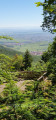 Le rocher de Pfaffenrod
