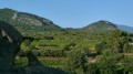 Les Dentelles de Montmirail et ses villages