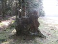 Le rocher du Hengst