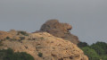 Le Rocher du Lion Le Rocher du Lion
