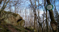 Au pied du Haut Koenigsbourg à partir de Saint-Hippolyte