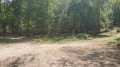 Le rond-point de St Hubert dans la forêt de Lussac