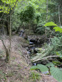 Tour du Bénal à Counozouls