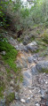 Le ruisseau avant la cascade