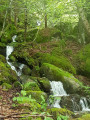 le ruisseau Canrec
