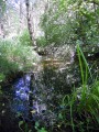 Le ruisseau de Bonnefont