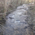 Le ruisseau de Courbière