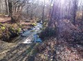 Le ruisseau de Fraïssègne