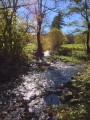 Le Ruisseau de la Gorce
