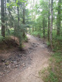 Le ruisseau de la Miochette