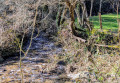 Le ruisseau de Massebaque