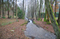 Le ruisseau de Nabruay