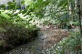 Le Ruisseau de Naidimont vu du Pont rouge