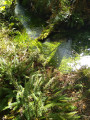 Ruisseau de Ribarrouy