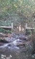 Le ruisseau des Salles Le ruisseau des Salles
