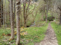 Le ruisseau du Couzon