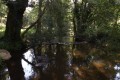 Le ruisseau du Crano