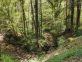 Le ruisseau du Genon Le ruisseau du Genon