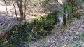 Le ruisseau du Moureau