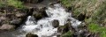 Le ruisseau du Rouchoux