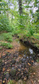 Le ruisseau le Scave &agrave; R&eacute;d&eacute;n&eacute; (Finisterre)