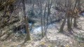 Le ruisseau-sans-nom