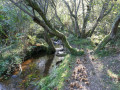 Le ruisseau