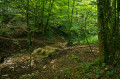 Le Ruisseau