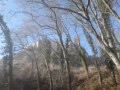 Le Saint Ulrich Le Saint Ulrich