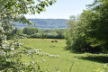 Le Salbert