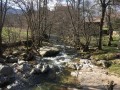 Le Sandron