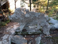 Le sanglier