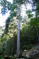 Boucle Nord de Malaterre par Bois Barbu