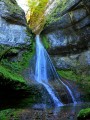 Le Saut de Bonneille