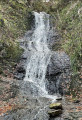 Le saut de la bourrique