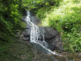 Le saut de la bourrique