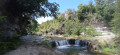 Le saut des charmines