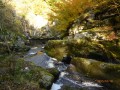 La Vallée de l'Andrable et le Saut du Bezan