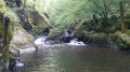 Le saut du Chalard Le saut du Chalard