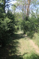 Le sentier à Lay-Saint-Rémy