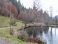 Rund um das Schloss Lienz (Osttirol)