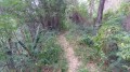 Le sentier au retour