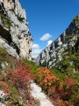 le sentier aux couleurs de l'automne le sentier aux couleurs de l'automne