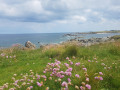 Le chemin des Korrigans à Plouescat