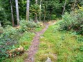 Le sentier croix bleue