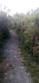 Le sentier de découverte