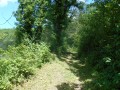 Le sentier de départ
